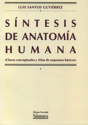 Cubierta para Síntesis de anatomía humana (claves conceptuales y atlas de esquemas básicos)