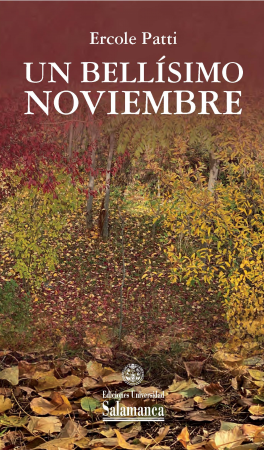 Cubierta para Un bellísimo noviembre