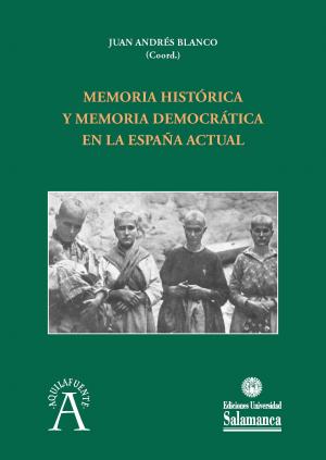 Cubierta para Memoria histórica y memoria democrática en la España actual